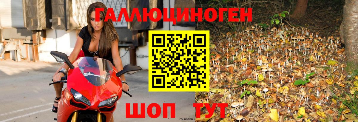 Галлюциногенные грибы GOLDEN TEACHER Керчь
