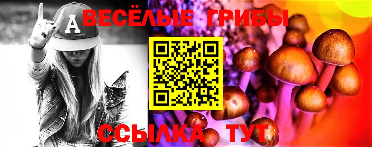 Керчь  купить закладку  Вход с VPN  Галлюциногенные грибы Magic Shrooms  Псилоцибиновые грибы мицелий 